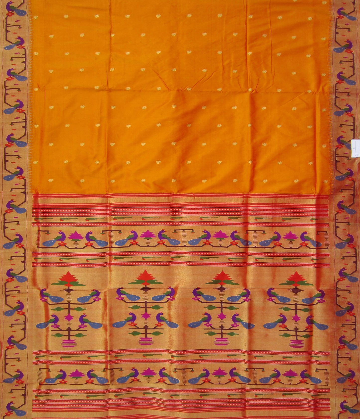 Women_saree2006