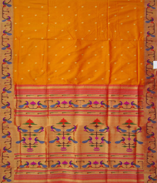 Women_saree2006