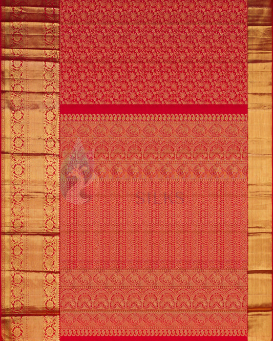 Women_saree2008