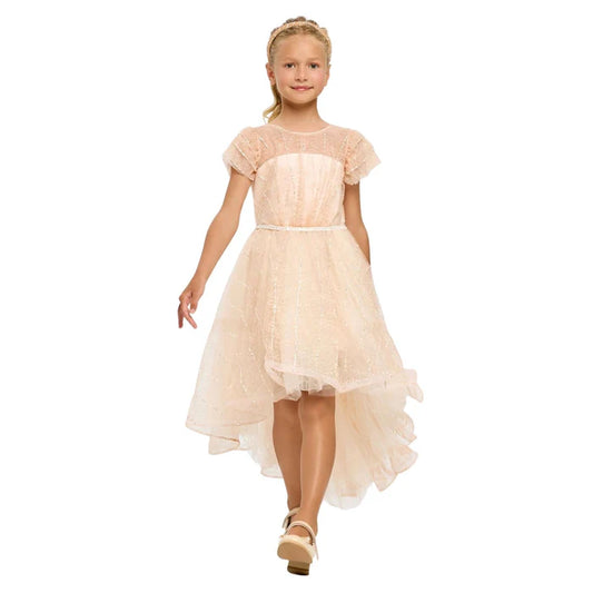 Dress2